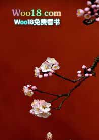 靡靡宫春深(1V1糙肉高H)(樱花帕尼尼)_靡靡宫春