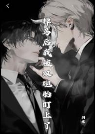 掉马后被影帝缠上免费阅读