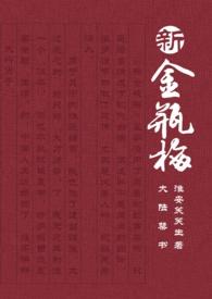 新金瓶梅连数据