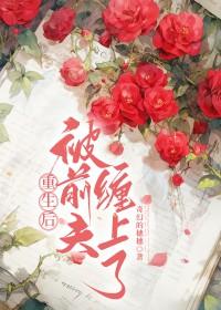 被前夫缠上了