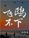 飞鸥不下未删减版