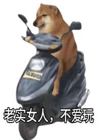 老实女人不爱玩快穿 优美的矩形