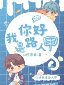 你好我是路人甲山河寄君