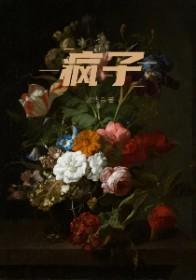 疯子by小妖子TXT百度
