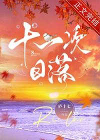 十一次日落by庐