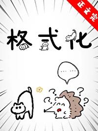 格式化什么意思