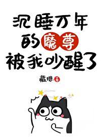 我把魔头抓回去做道侣