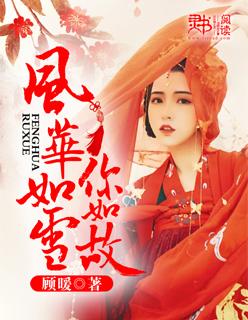 风华如故是什么意思