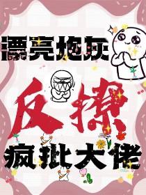 漂亮炮灰阅读