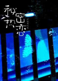 秘密热爱你免费全文