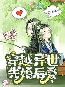 穿越异世先婚后爱作者若水紫冰