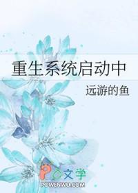 重启系统人生