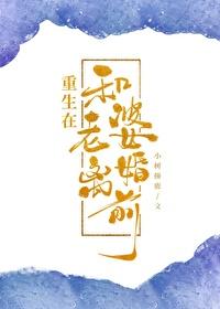重生到离婚之前的