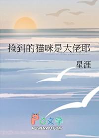 捡来的猫是前女友