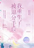 被逼分手后我重生了txt