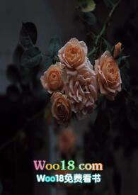 壁垒(骨科NP)江至疏_壁