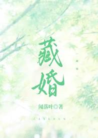 藏婚(先婚后爱)完结
