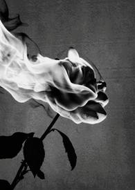 禁中非烟by锦换笔趣阁免费阅读完整版