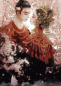 帝姊是什么意思