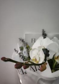 我的未婚妻欲求不满结局