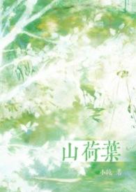 山荷叶花瓣为什么会变透明