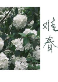 难兄难妹
