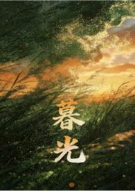 暮光推荐