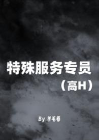 特殊服务是指什么服务