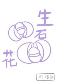 生石花属