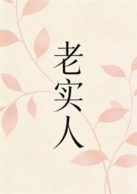 作者老实人全部