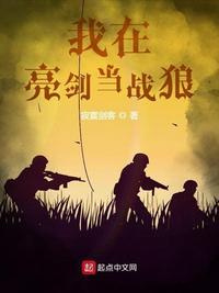 我在亮剑当战狼快眼