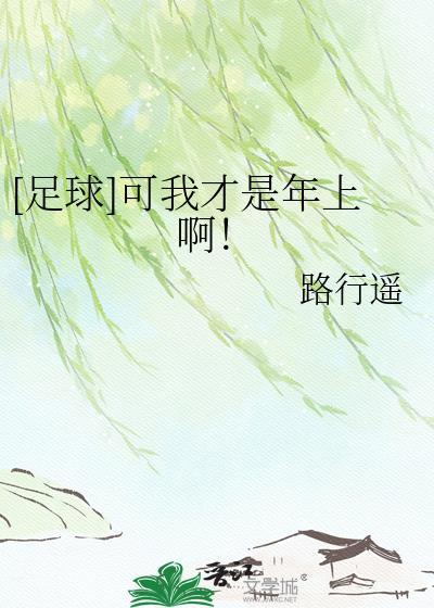 足球可我才是年上啊TXT全文免费