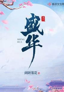 盛华集团简介