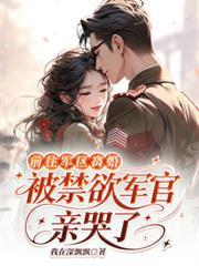 离婚的军官