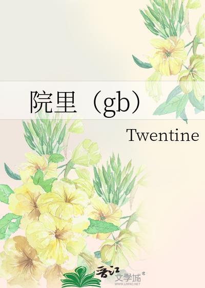 院里gb什么意思