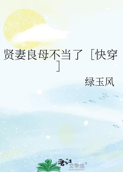 贤妻良母t