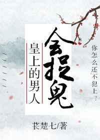 皇上的男妃