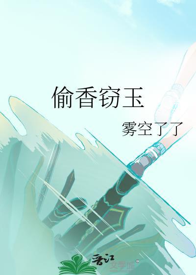 偷香窃玉电视剧