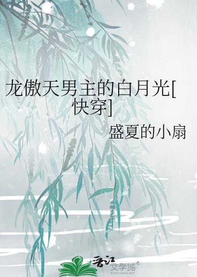 龙傲天男主他