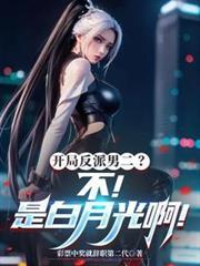 开局从反派男二高富帅开始第八区