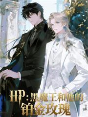 Hp黑魔王和他的铂金玫瑰