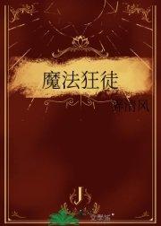 魔法狂徒弄清风TXT