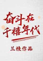 奋斗年代剧合集