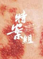 特殊案件调查组vi全文