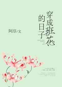 穿成班花的日子TXT
