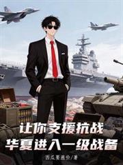 华夏进入一级战备作者佚名