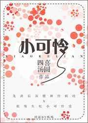 小可怜操作手册