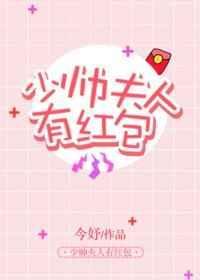 少帅夫人有红包txt番外百度