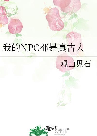 我的NPC都是真古人 观山见石