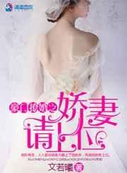 豪门撩婚之娇妻请上位链接全文